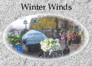 Chapter 16 - Winter Winds