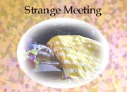 Chapter 22 - Strange Meeting