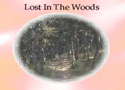 Chapter 3 - Lost In The Woods