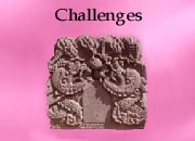 Chapter 6 - Challenges