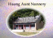 Chapter 18 - Huang Aunt Nunnery